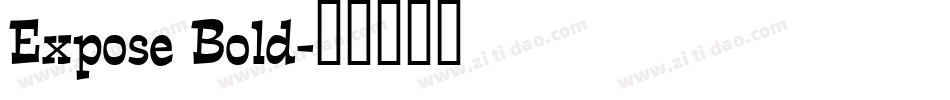 Expose Bold字体转换